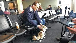 Elle lui demande si le chien le dérange. La réponse va lui donner les larmes aux yeux.