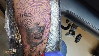 TIGER TATTOO BLACK AND GRAY |TIMELAPS