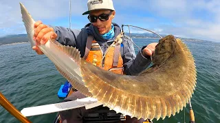 HUGE CALIFORNIA HALIBUT Caught Live Bait Fishing (oddly satisfying)