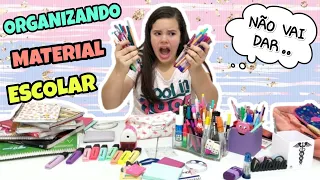 ORGANIZANDO MEU MATERIAL ESCOLAR NO MEIO DO ANO