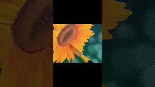 [canvas painting]캔버스 아크릴 해바라기 꽃 그리기[drawing a sunflower easy]