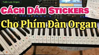 Cách Dán Stickers Cho Phím Đàn Organ - Bác 82 Tuổi Bắt Đầu Mua SX700 Về Học Đàn - Tấm Gương Tự Học