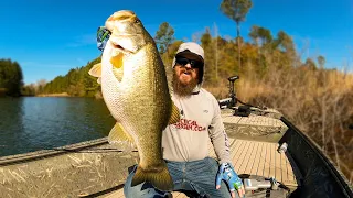 Swimbait Fishing Is EASY! Spring Bass Fishing For BIG Bass!