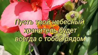 Пускай Господь Бог благословит тебя на добрые дела!