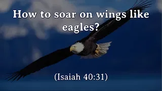 046 How to Soar On Wings Like Eagles (Isaiah 40:31)? | Patrick Jacob