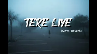 Tere Liye _ Lofi Song (Slowed and Reverb) Use Headphones 🎧