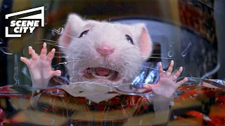 Trapped in the Washing Machine | Stuart Little (Michael J. Fox, Geena Davis, Nathan Lane)