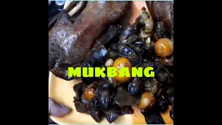 Fried Itik Mukbang #26