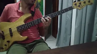 pisadinha - baixo cover (Barões do forró - esquema preferido)