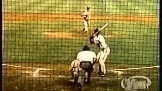 great baseball brawl (minor league)