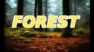 Forest Of Dreams. 45 Minutes Of Calm Music.
