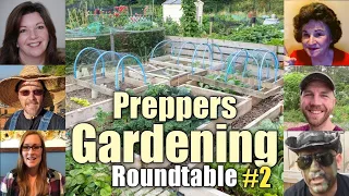 Preppers Gardening Roundtable (Part 2-ber): Live Q&A ft. YouTube Preppers