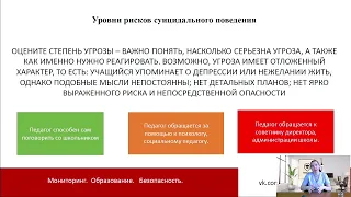 Профилактика рисков суицидального поведения в образовательной среде