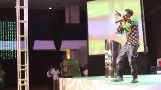 Shatta Wale, Ayitey Powers & Asamoah Gyan - Performs for President John Mahama & Black Stars