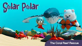 The Coral Reef Rescue | Solar Polar | The Adventures of Po and Berg