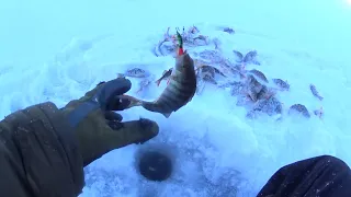 ВЗЯЛ ЖЕНУ НА РЫБАЛКУ. СЛАБОНЕРВНЫМ НЕ СМОТРЕТЬ. ЧАСТЬ 2.