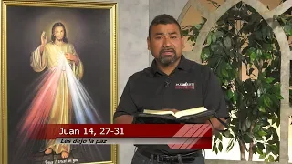 ⛪️ Evangelio del Día - 21 de Mayo de 2019 - Juan 14, 27-31 - Evangelio Explicado
