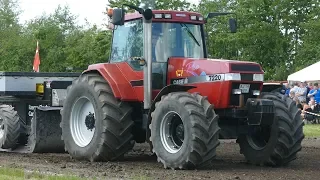 Case IH Magnum 7220 Pulling The Heavy Sledge at Aabybro Pulling Arena | Tractor Pulling DK
