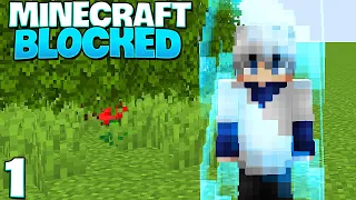 SUNTEM BLOCATI PE MINECRAFT BLOCKED!