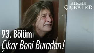 Çıkar beni buradan! - Kırgın Çiçekler 93. Bölüm