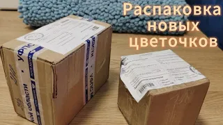 Распаковка. Первые новинки мая