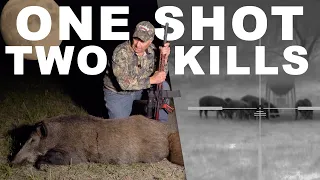 ONE SHOT TWO HOGS DOWN
