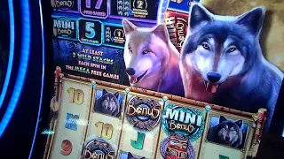 Learn Advantage Play Slots with Buffalo Bob