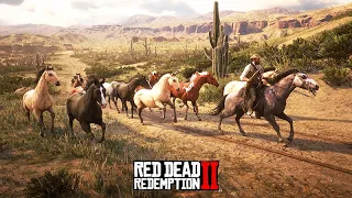 TOCANDO CAVALOS PARA VENDER - Trabalho de tocar cavalos  -  Vida de Fazendeiro - Red Dead 2