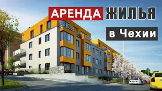 Аренда жилья в Чехии. Особенности рынка недвижимости | Выпуск #68