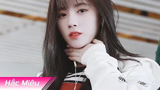 (TikTok) Điểm Ca Đích Nhân ReMix - Hải Lai A Mộc