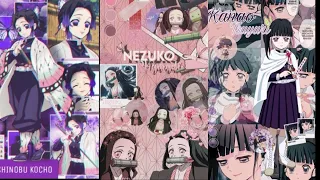 Demon slayer Nezuko Kamado, Kanao Tsuyuri & Shinobu Kocho [ Edit ] evolution