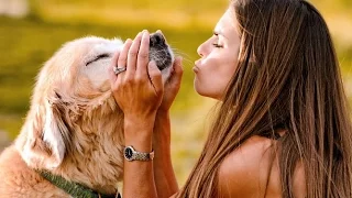 Dogs Can Recognize Human Emotions