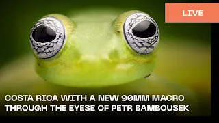 COSTA RICA WITH A NEW 90MM MACRO THROUGH THE EYES OF PETR BAMBOUSEK