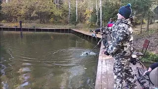 Форель отзывается на все виды приманок, спорт-зона. Клёвое место Лосиный остров.