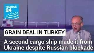 Ukraine grain exports: Second ship safely reaches Istanbul despite Russia blockade • FRANCE 24