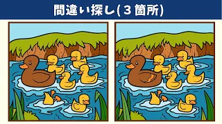 Find 3 Differences | Illustration Version #475