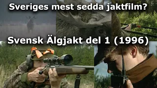 Svensk Älgjakt del 1 (Swedish moose hunting part 1)