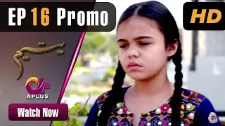 Pakistani Drama | Yateem - Episode 16 Promo |  Aplus | Sana Fakhar, Noman Masood, Maira Khan| C2V1