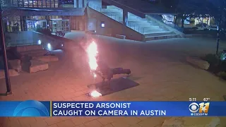 Suspect Arrested For Allegedly Burning Down Grackle Statue In Austin