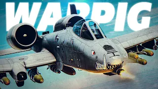WAR PIG | A-10C Warthog In Action | Digital Combat Simulator | DCS |
