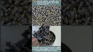 H&N Hornet Pellets for good penetration and energy transfer upon impact