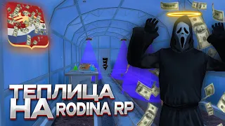 ВСЁ ПРО ТЕПЛИЦУ на RODINA RP - ТОПОВЫЙ ЗАРАБОТОК🔴САМЫЙ ТОПОВЫЙ ЗАРАБОТОК на RODINA RP в GTA SAMP