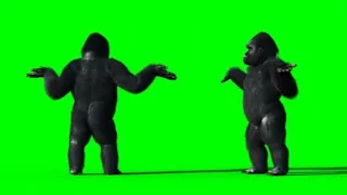 Green Screen Gorilla Dancing Video #greenscreen #hindi #animation #viral #monkey #india #effects