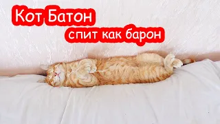 VLOG Настя уехала. Таня заселилась в домик