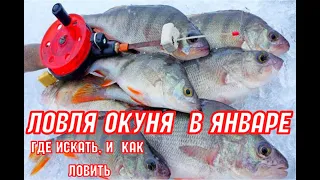 Ловля окуня в январе. Мормышка для ловли окуня. Балансиры для ловли окуня. Блесны для ловли окуня.