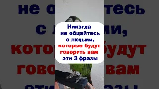 Никогда не общайтесь с людьми, которые будут говорить вам эти 3 фразы, они крадут достаток, изобилие