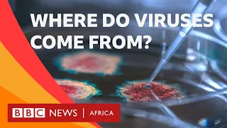 Where do viruses like Covid-19 and HIV come from? - BBC What's New