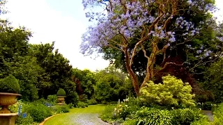 Paradise in Beechwood Gardens