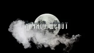 Ночной шёпот — BookTrailer