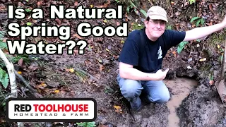 Is a Spring a VIABLE Water Source for a Farm/Homestead?